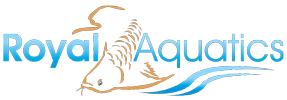 Royal Aquatics